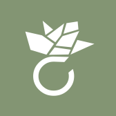 Logo de Amoonic