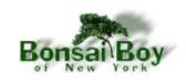 Logo de Bonsai Boy