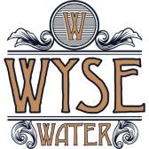 DrinkWyse logo