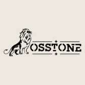 Logo de OSSTONE