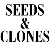 Seeds & Clones